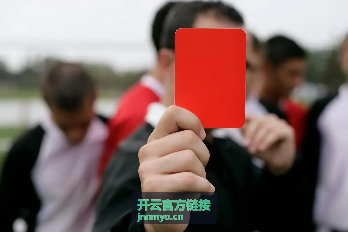 开云官方链接入口说明